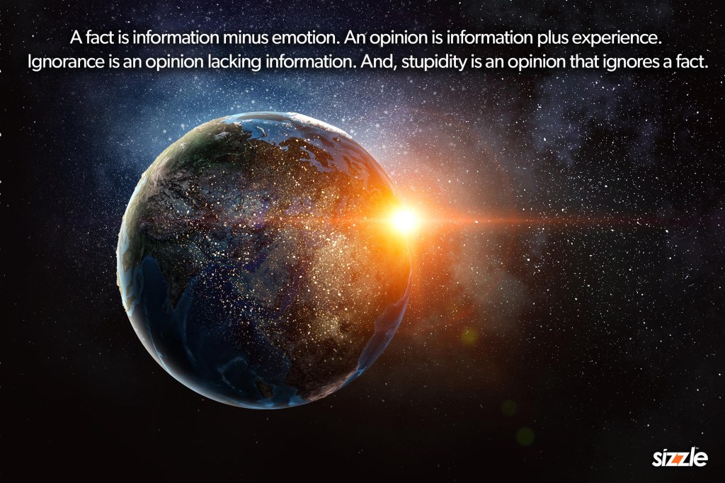 A fact is information minus emotion. An opinion is information plus experience. Ignorance is an opinion lacking information. And, stupidity is an opinion that ignores a fact.