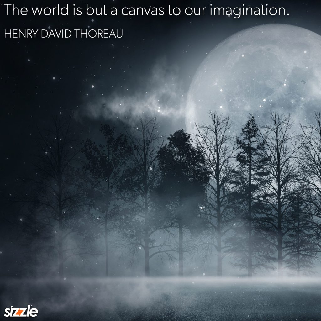 The World Is But A Canvas To Our&nbsp;Imagination.