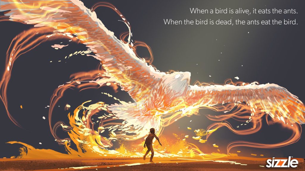 When a bird is alive, it eats the ants. When the bird is dead, the ants eat the bird.