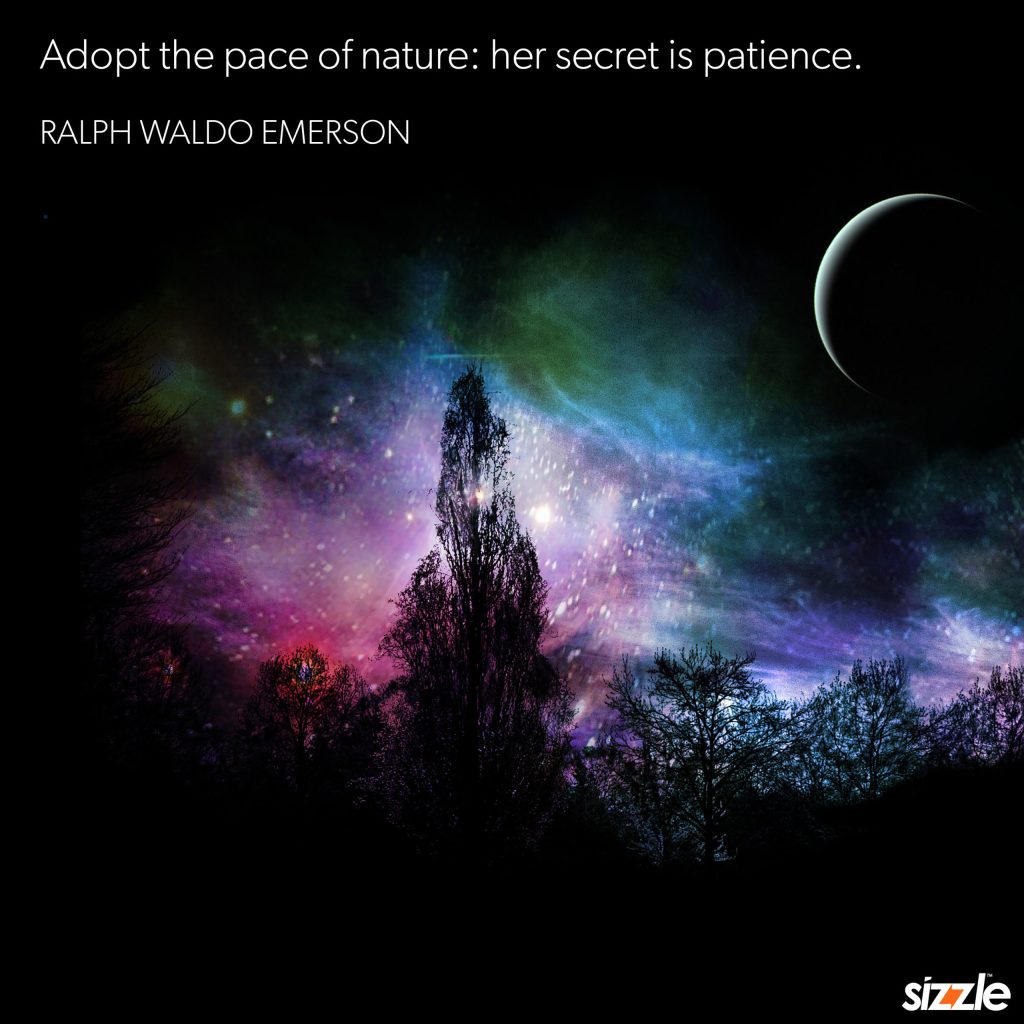 Adopt the pace of nature: her secret is&nbsp;patience.