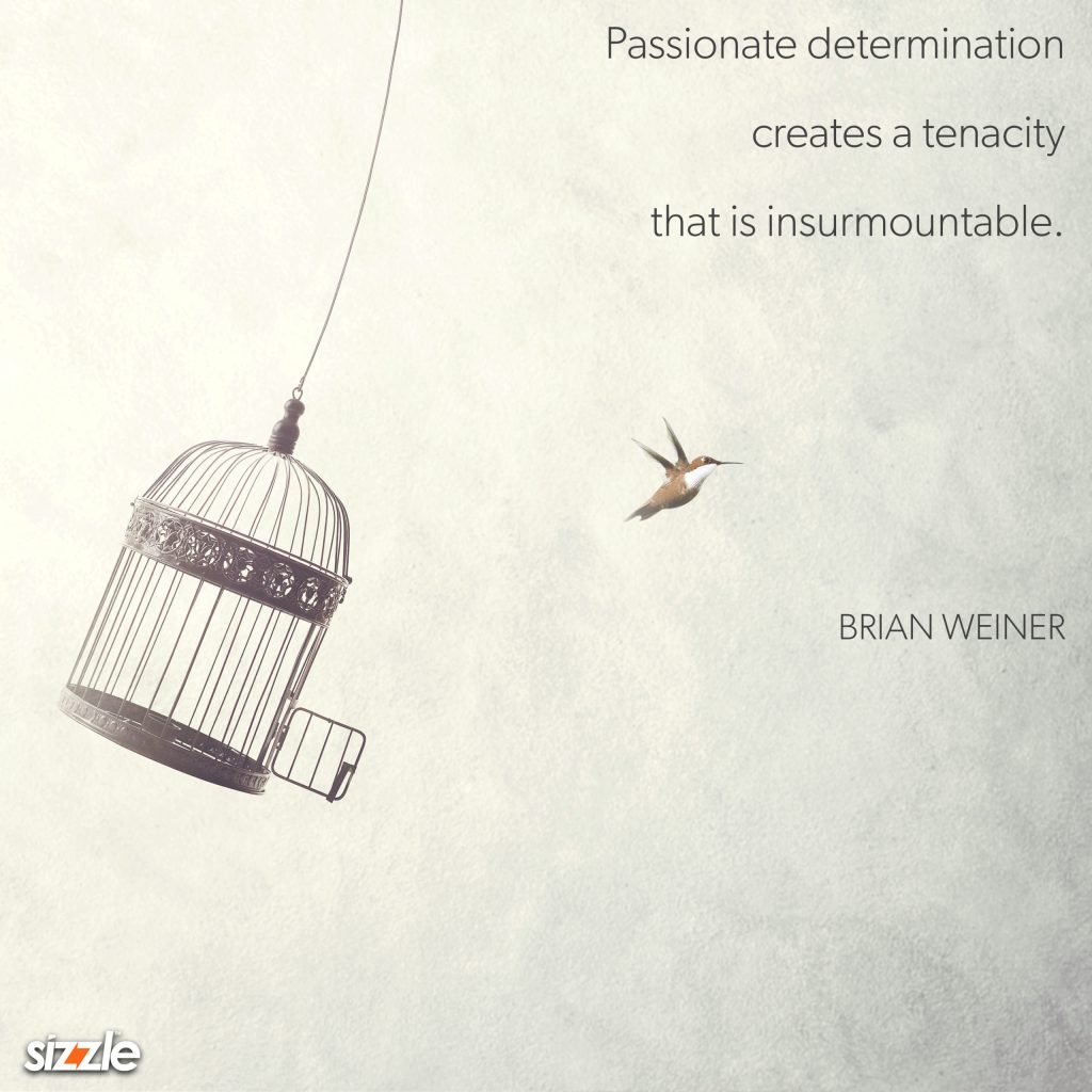 Passionate determination creates a tenacity that is insurmountable.