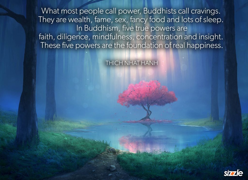 What most people call power, Buddhists call cravings. They are wealth, fame, sex, fancy food and lots of sleep. In Buddhism, five true powers are faith, diligence, mindfulness, concentration and insight. These five powers are the foundation of real&nbsp;happiness.