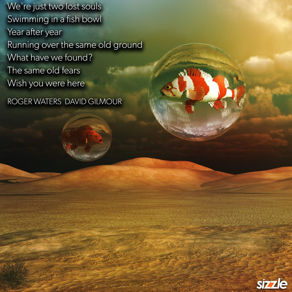 We’re just two lost souls swimming in a fish bowl year after year