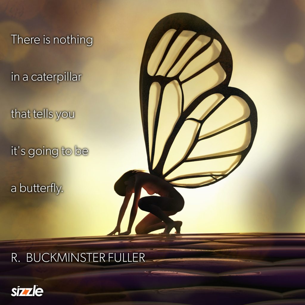 There is nothing in a caterpillar that tells you it’s going to be a&nbsp;butterfly.
