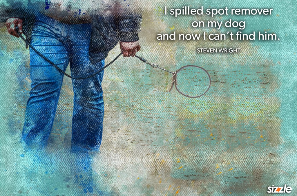 I spilled spot remover on my dog and now I can’t find&nbsp;him.
