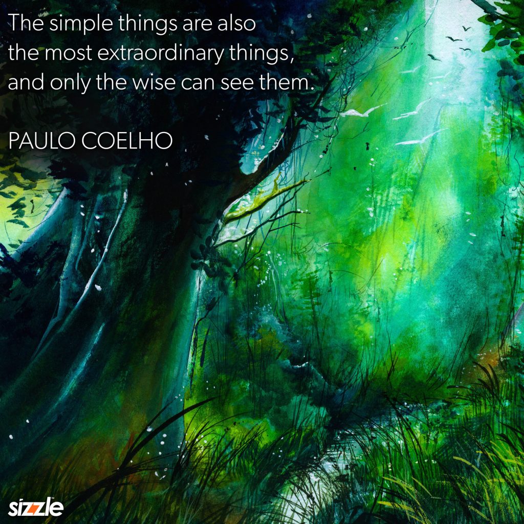 The most simple things are also the most extraordinary things, and only the wise can see&nbsp;them.
