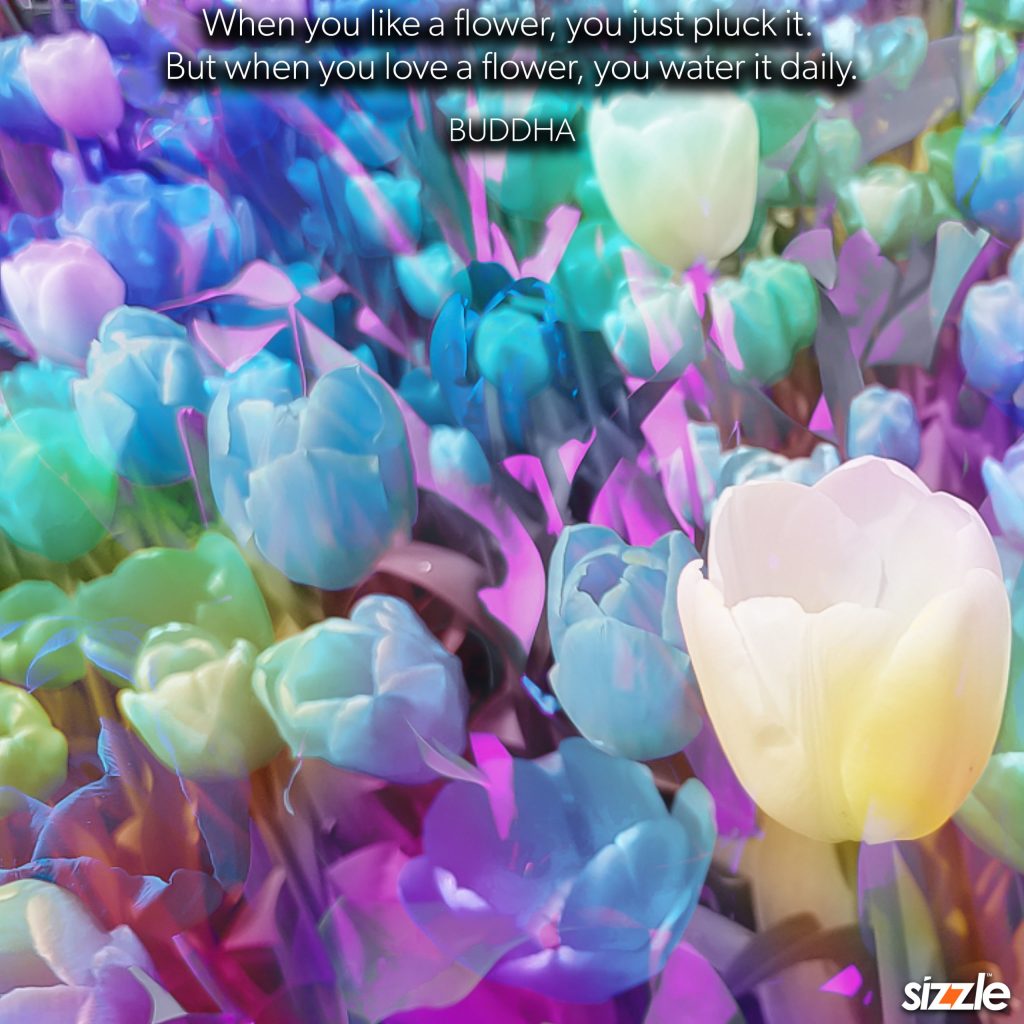 When you like a flower, you just pluck it. But when you love a flower, you water it&nbsp;daily.