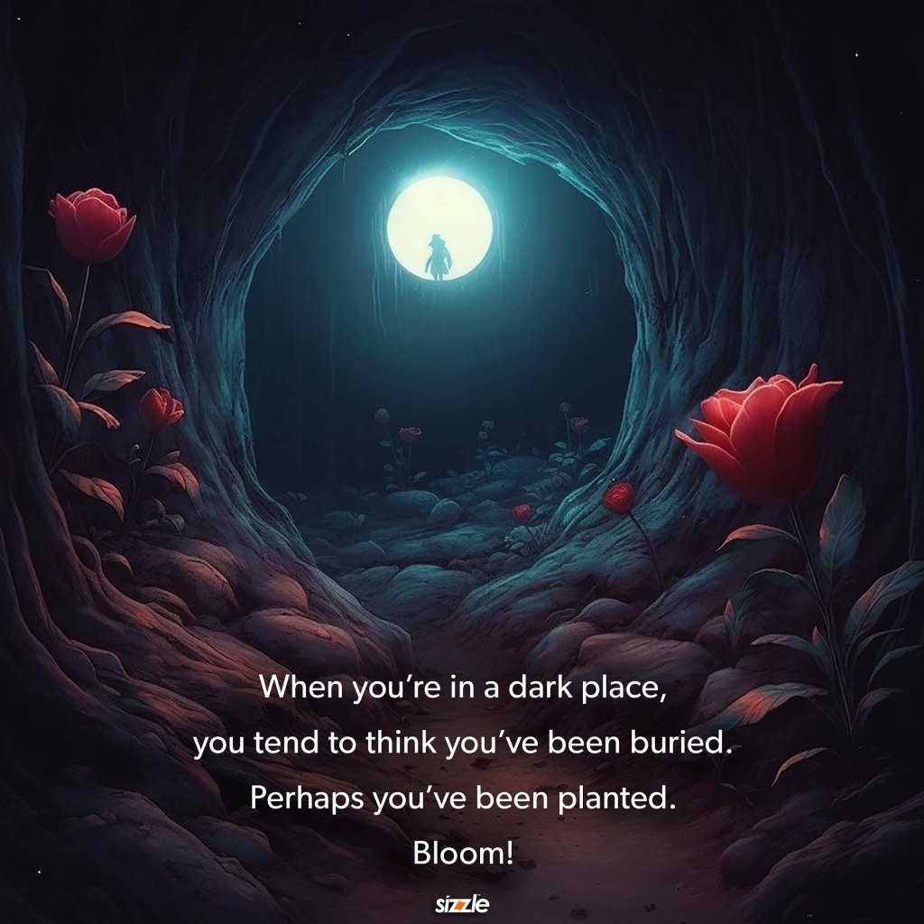 When you’re in a dark place, you tend to think you’ve been buried. Perhaps you’ve been planted.&nbsp;Bloom!