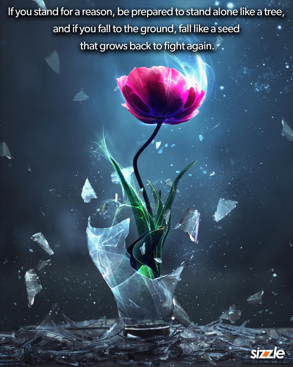 If you stand for a reason, be prepared to stand alone like a tree, and if you fall to the ground, fall like a seed that grows back to fight&nbsp;again.