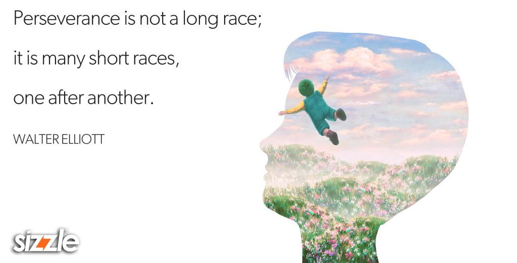 Perseverance is not a long race; it is many short races, one after another. 