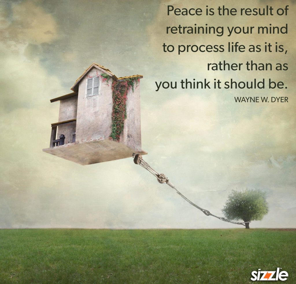 Peace is the result of retraining your mind to process life as it is, rather than as you think it should be.