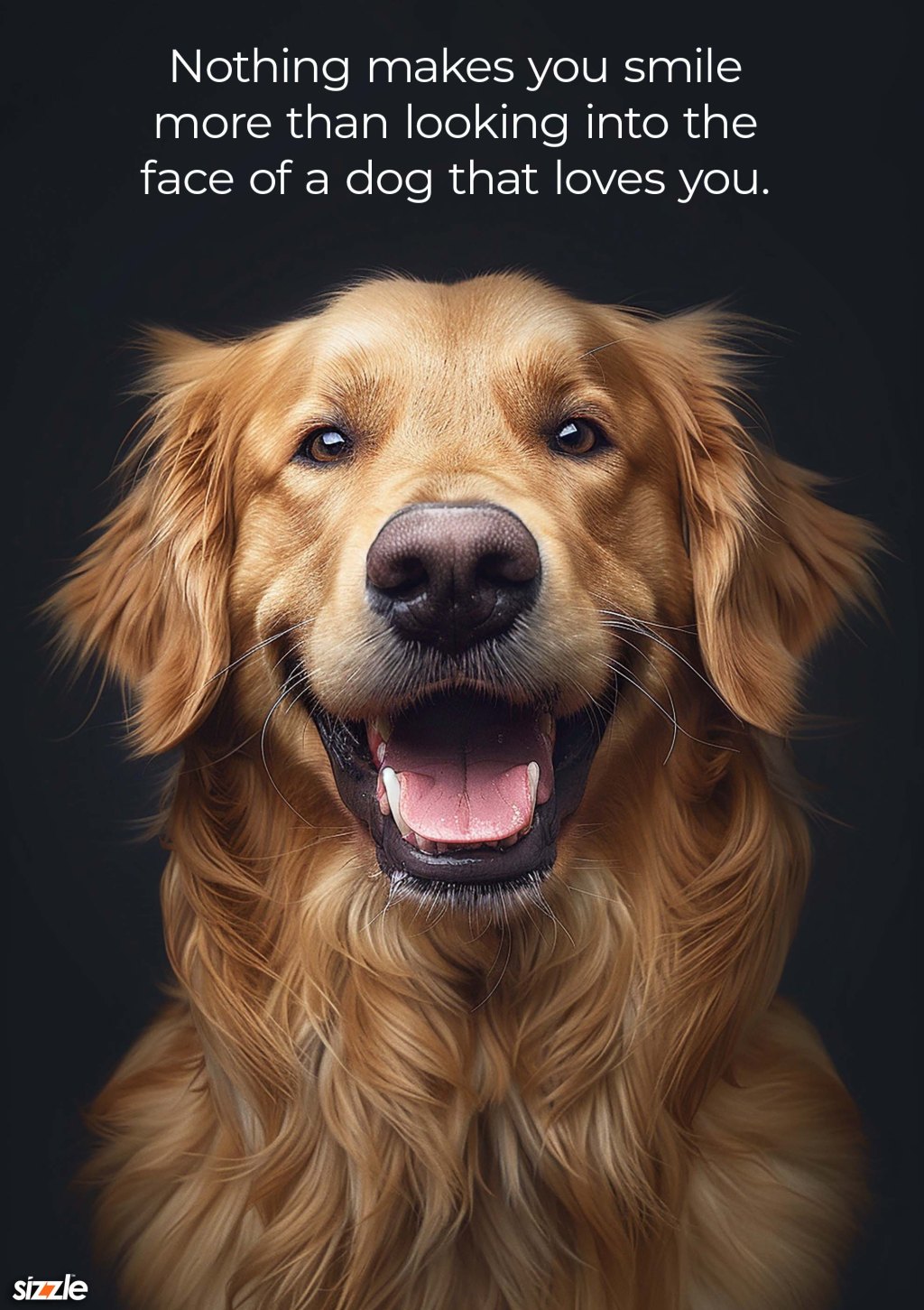 Nothing makes you smile more than looking into the face of a dog that loves you.